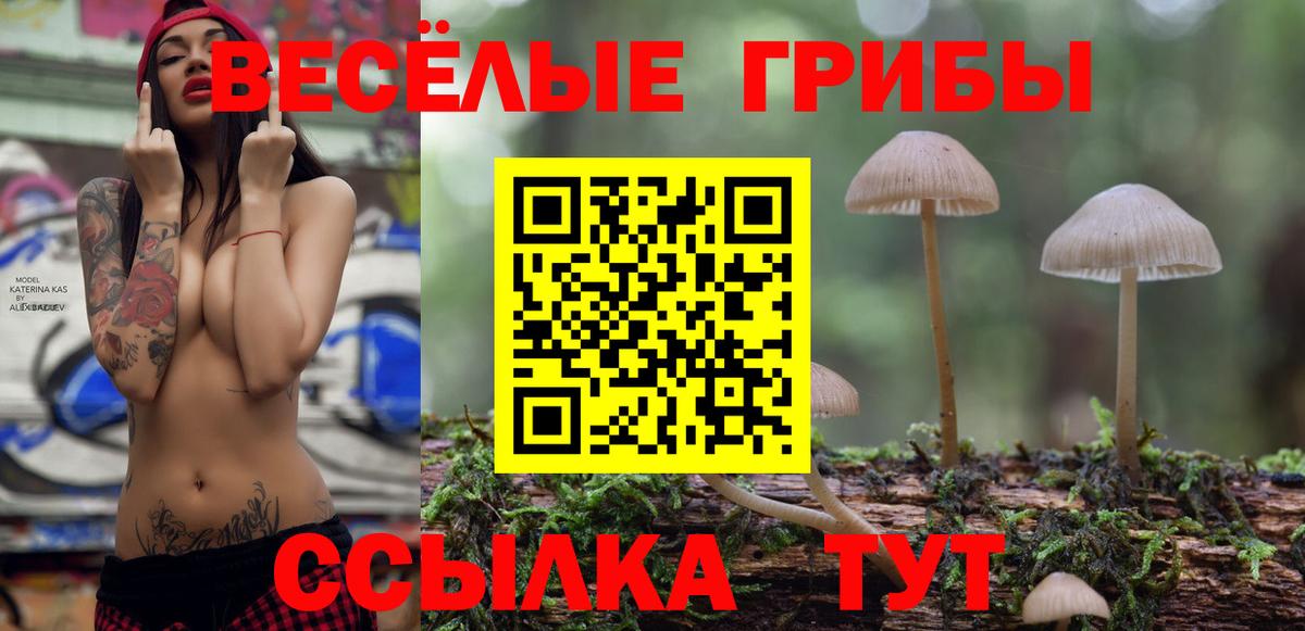 Псилоцибиновые грибы Psilocybine cubensis  Галлюциногенные грибы GOLDEN TEACHER  Вход с VPN  Комсомольск-на-Амуре 